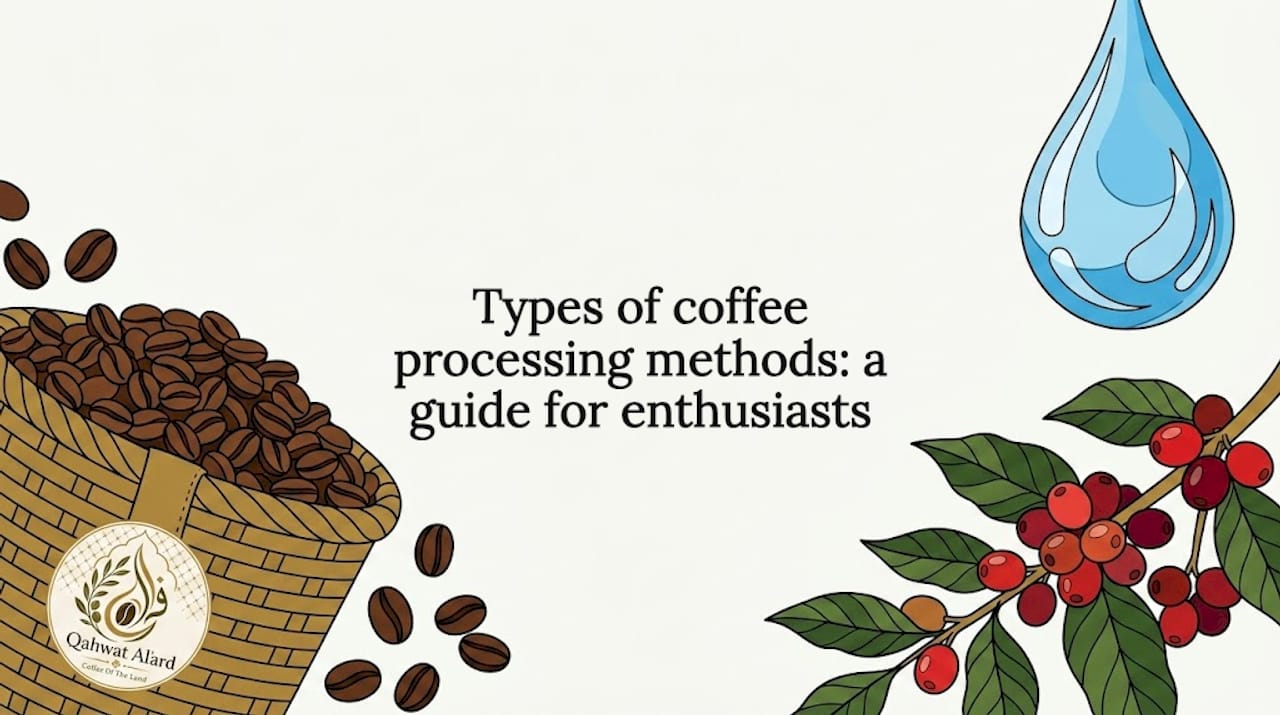 Coffee processing editorial title card illustration