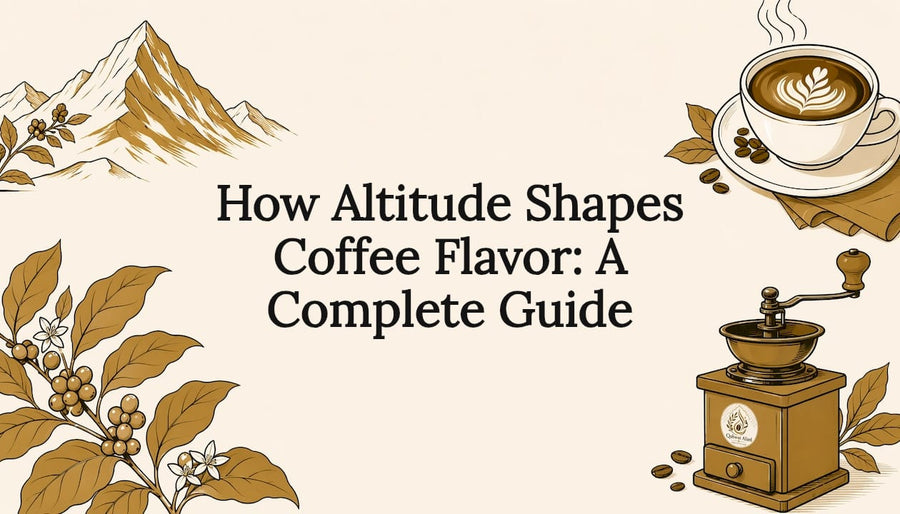 Decorative coffee altitude themed title card illustration