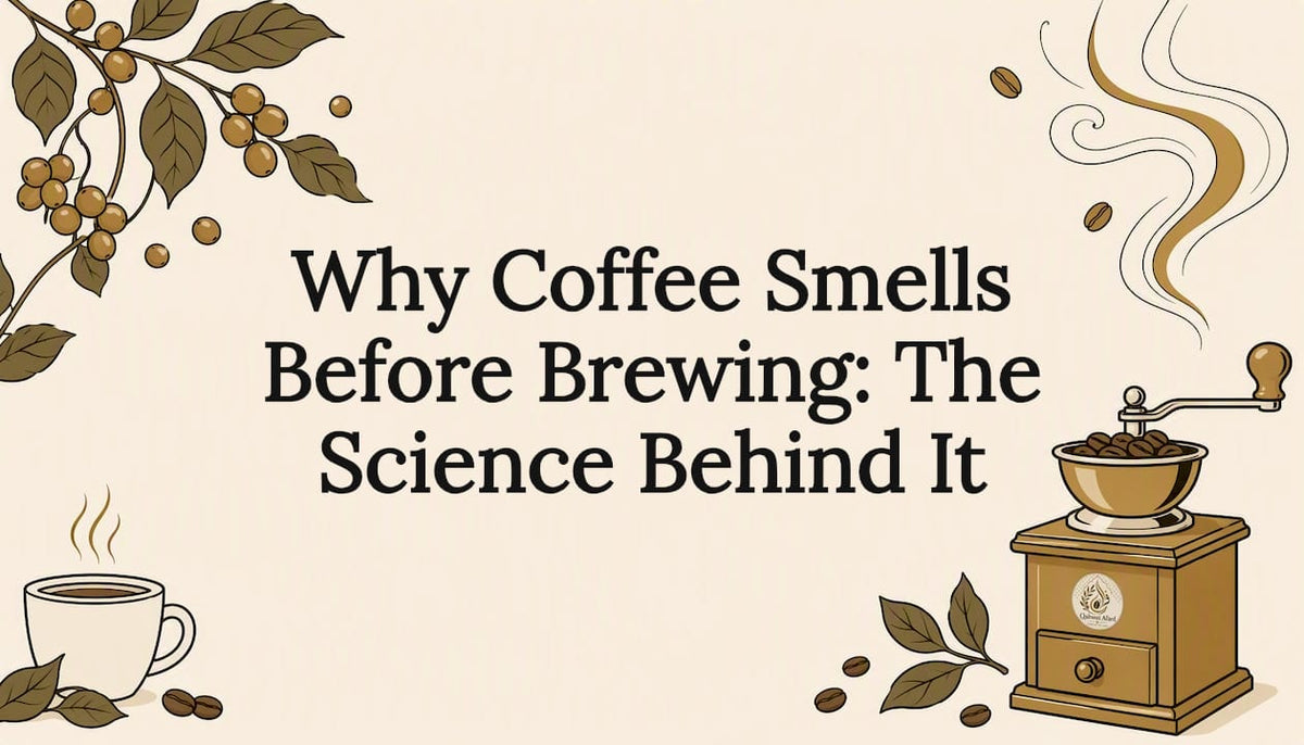 Decorative illustrated coffee aroma title card