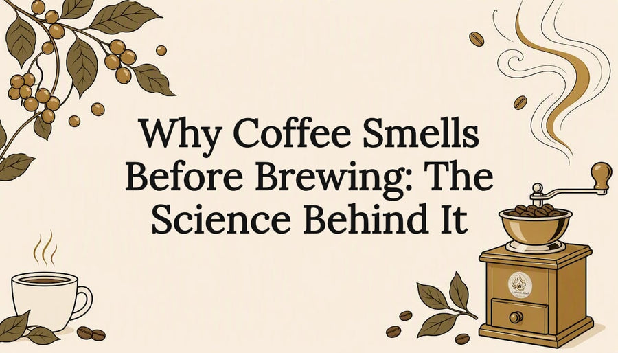 Decorative illustrated coffee aroma title card