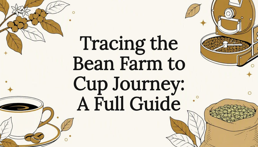 Decorative coffee journey title card illustration