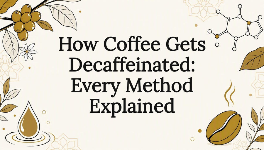 Decorative title card illustration for decaf coffee article