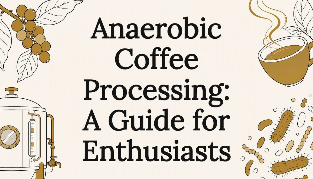 Decorative illustrated title card for anaerobic coffee processing article