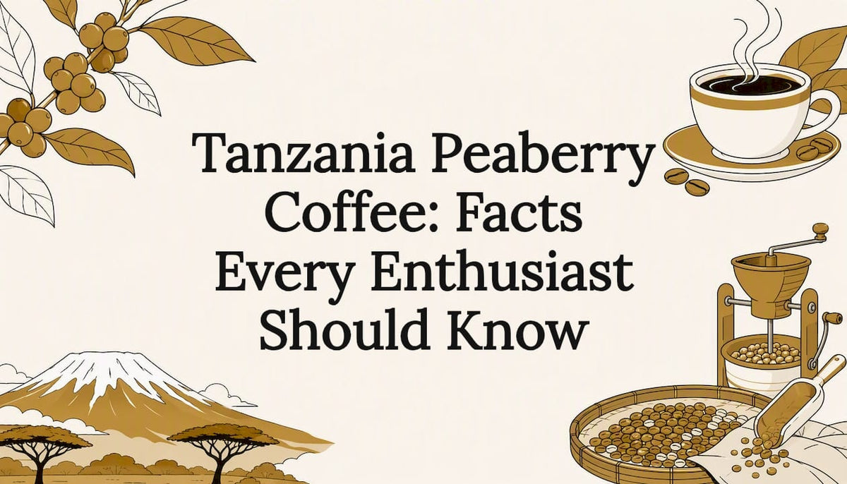 Decorative title card illustration for coffee article