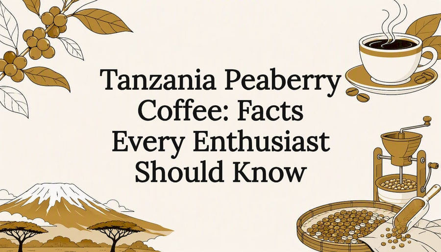Decorative title card illustration for coffee article