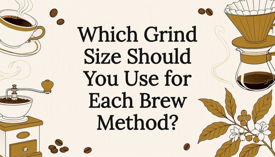 Decorative title card illustration for coffee grind size article