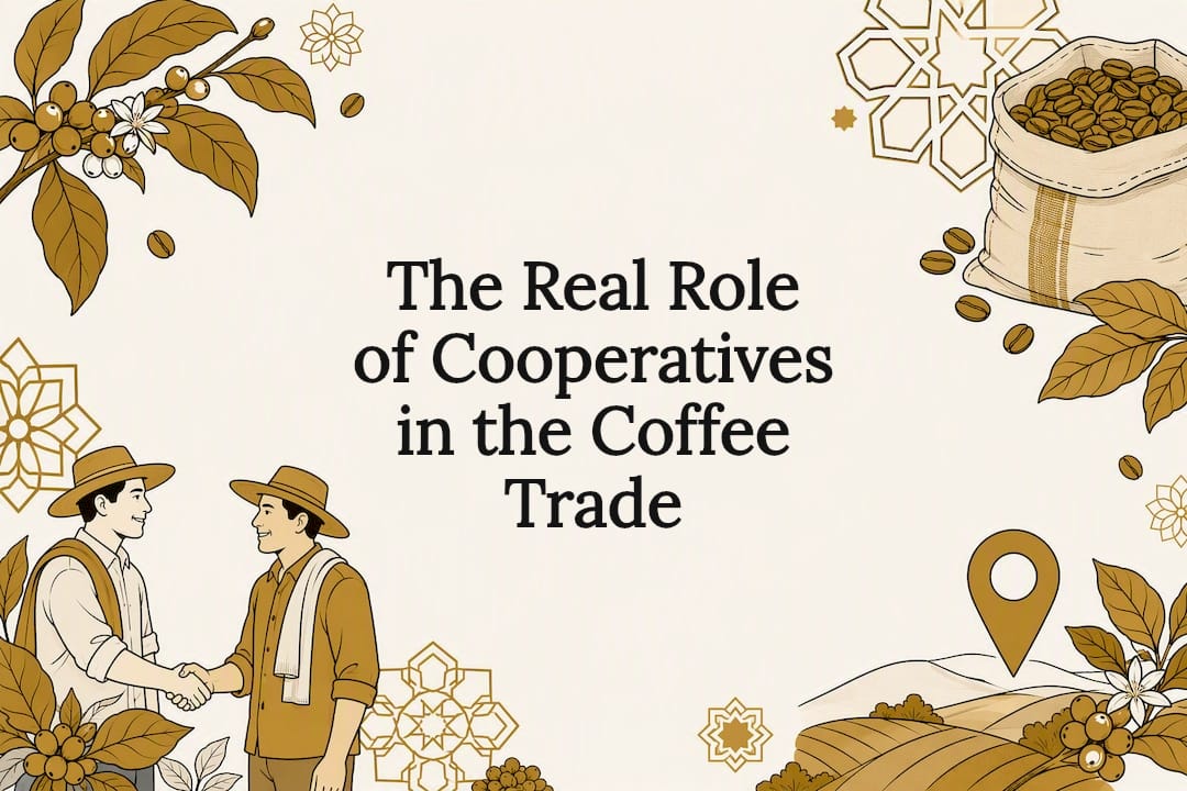 Decorative title card illustration for coffee cooperatives article