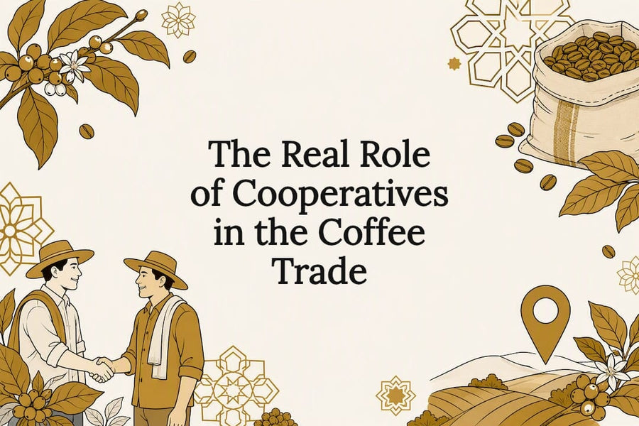 Decorative title card illustration for coffee cooperatives article