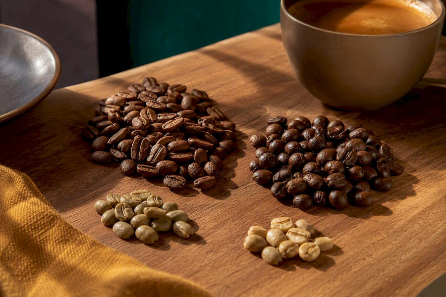 Grains d’arabica et de robusta pour espresso