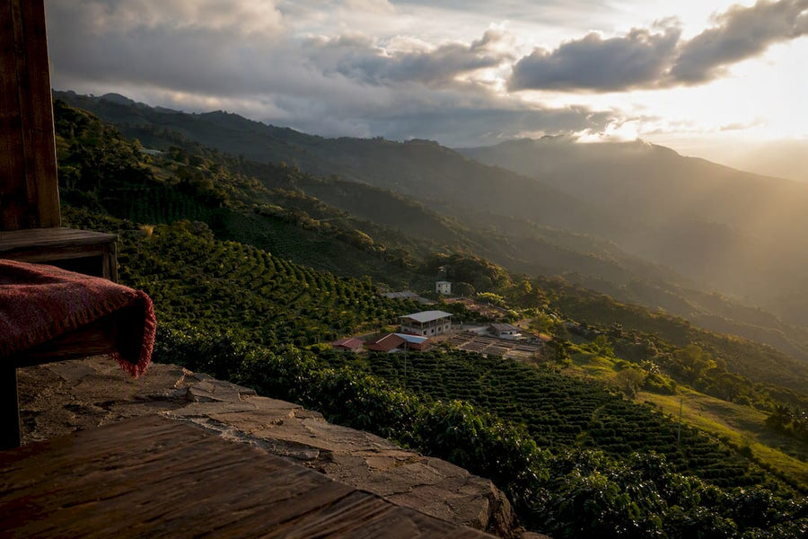 Encostas montanhosas de cultivo de café em Tarrazú