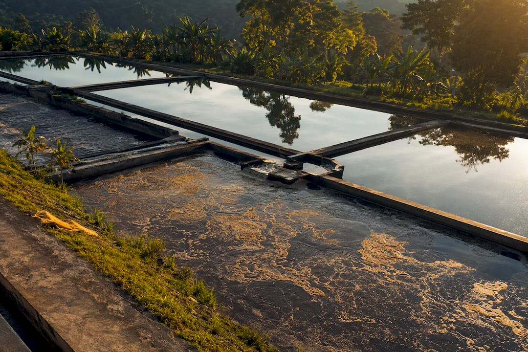Manejo de aguas residuales en centros de beneficio de café