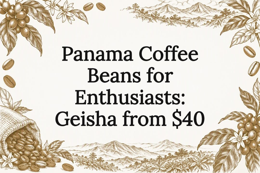 Hand-drawn coffee branch and mountain title card
