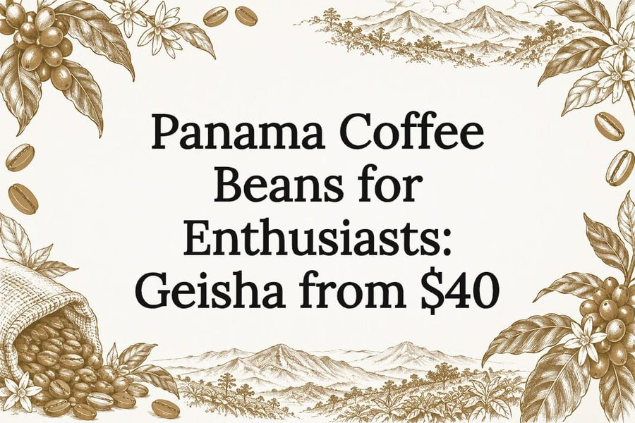 Hand-drawn coffee branch and mountain title card