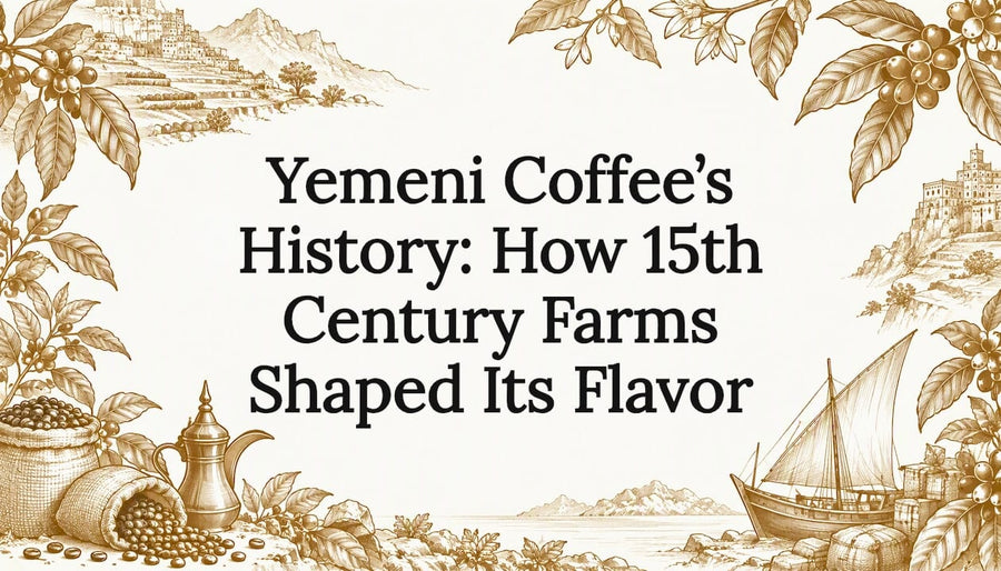 Hand-drawn coffee branches and terraces frame title