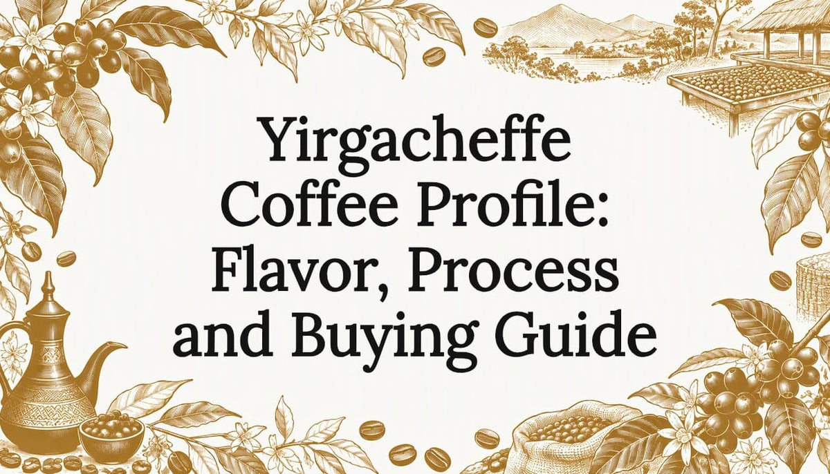 Yirgacheffe coffee title card illustration