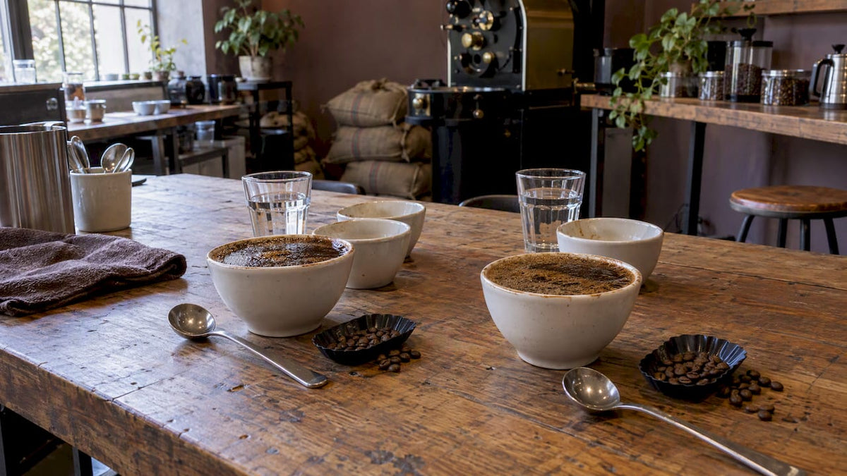 Cata comparativa de cafés de origen único