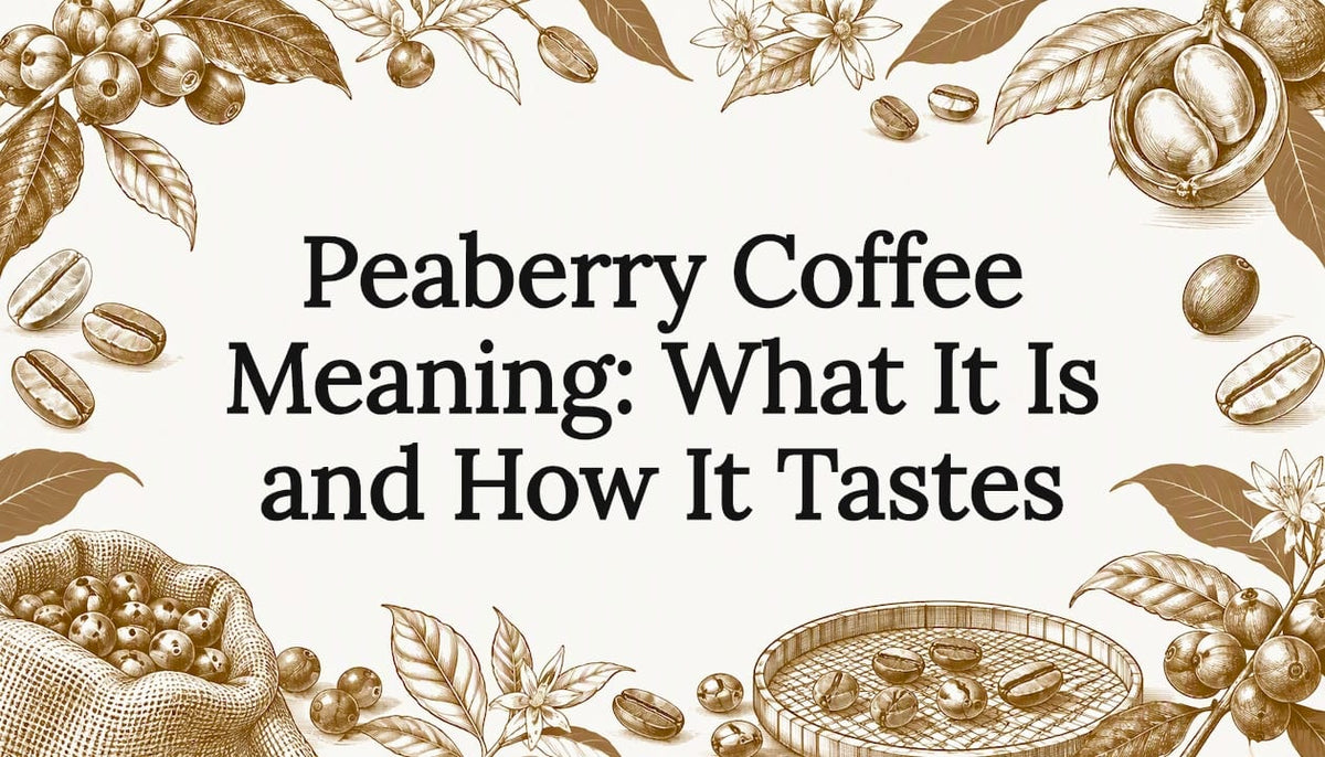 Peaberry coffee title card illustration